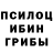 Псилоцибиновые грибы Magic Shrooms Cislov Denis