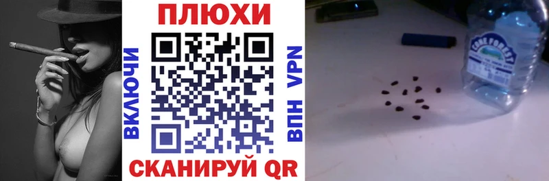 Гашиш Изолятор  omg как зайти  Луга 