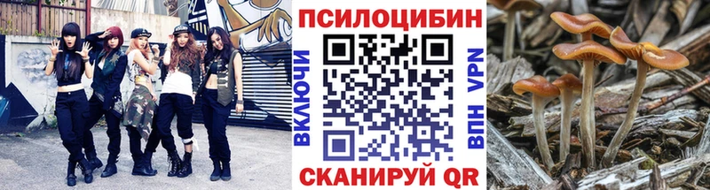 как найти закладки  Луга  Галлюциногенные грибы MAGIC MUSHROOMS 